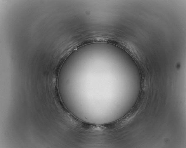 X0000091070321200708061029