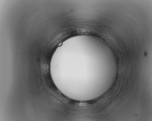 X0000091070324200708061028