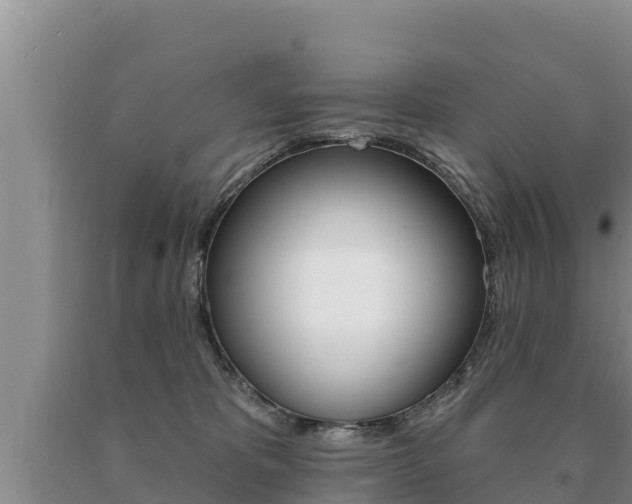 X0000091070325200708061028