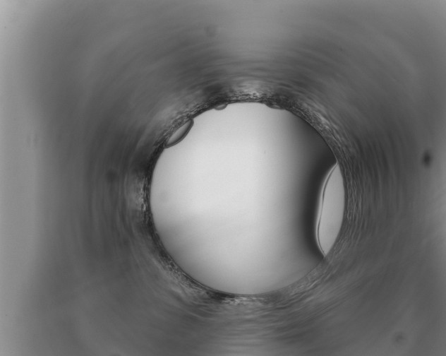 X0000091070331200708061028