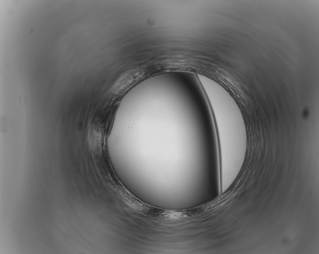 X0000091070333200708061028