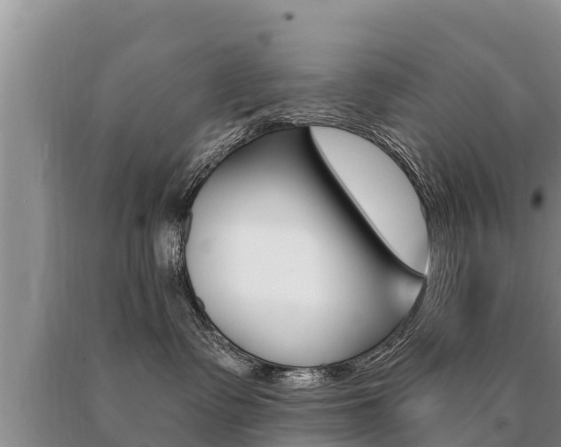X0000091070335200708061028