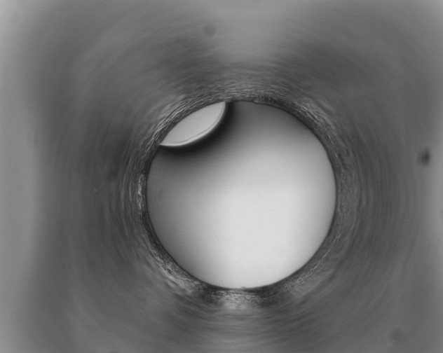 X0000091070336200708061028