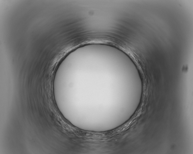 X0000091070337200708061028