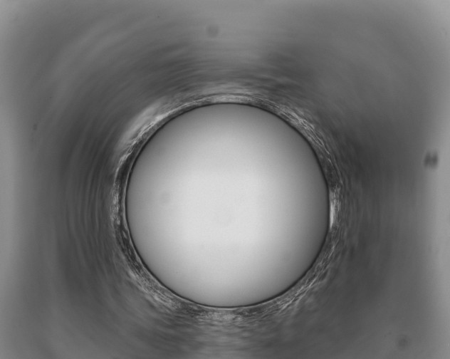 X0000091070339200708061028