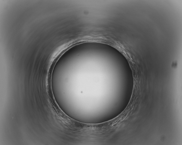 X0000091070340200708061028