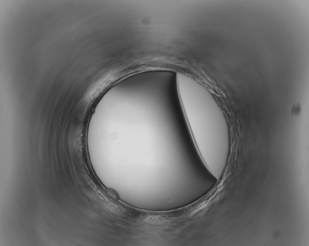 X0000091070341200708061028