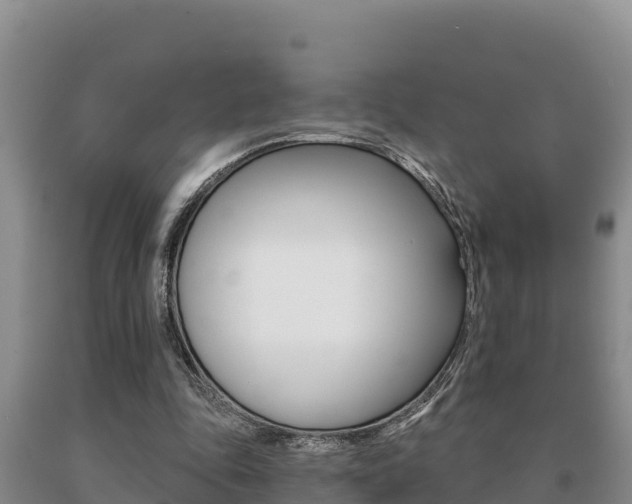X0000091070343200708061028