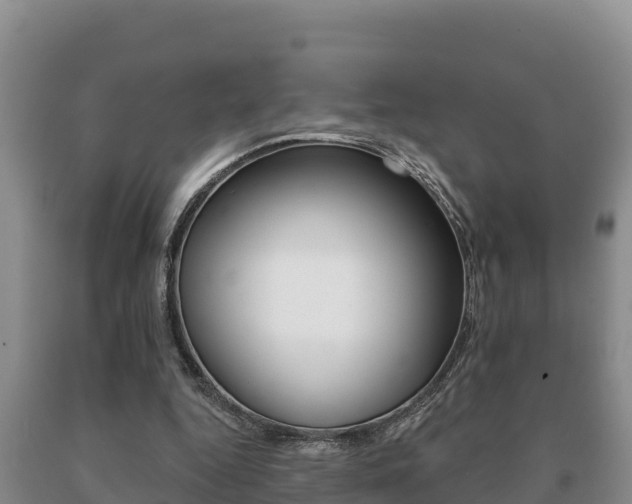 X0000091070344200708061028