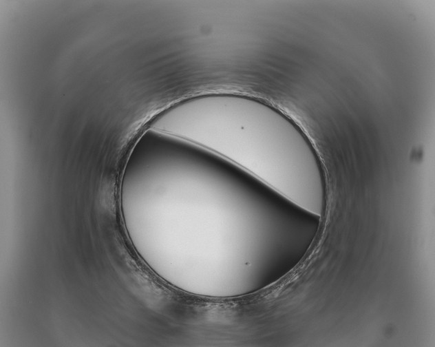 X0000091070345200708061028