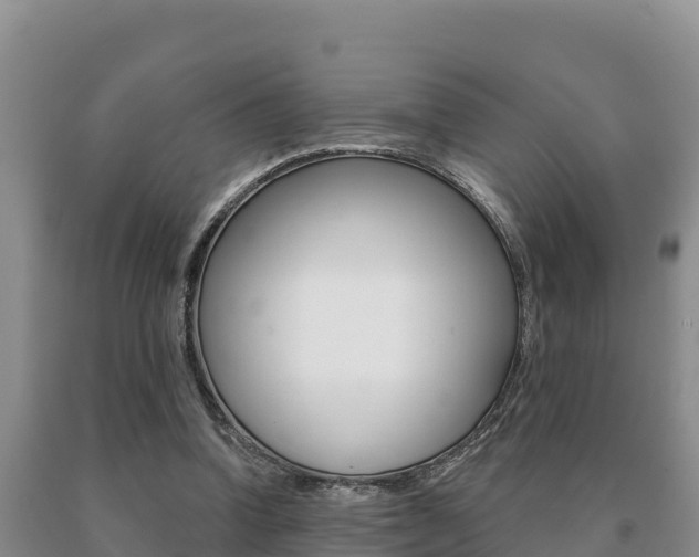 X0000091070346200708061028