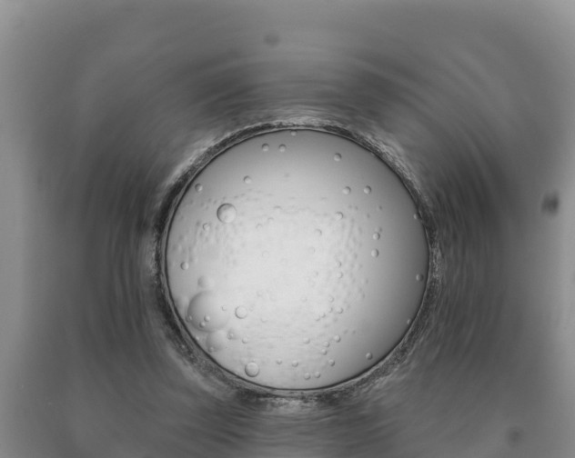 X0000091070347200708061028