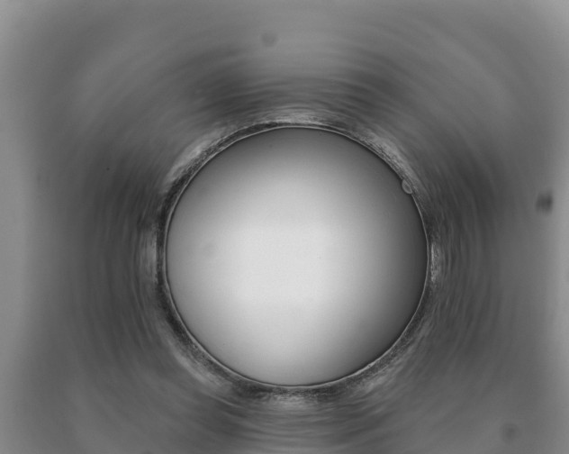 X0000091070349200708061028