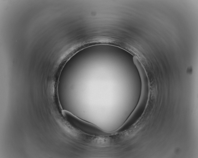 X0000091070350200708061028