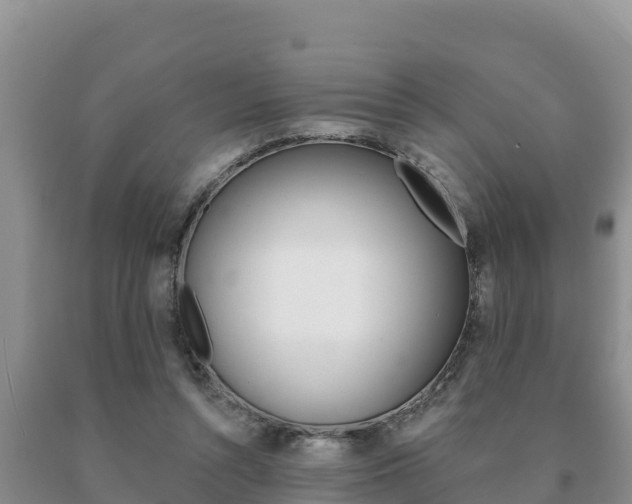 X0000091070352200708061028