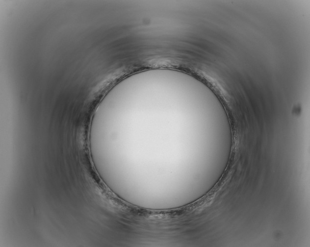 X0000091070353200708061028