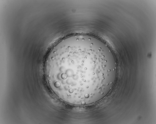 X0000091070354200708061028