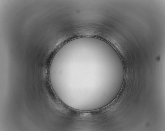 X0000091070355200708061028