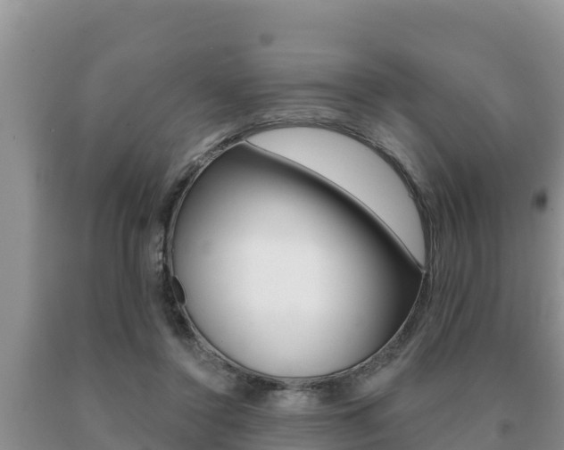 X0000091070356200708061028