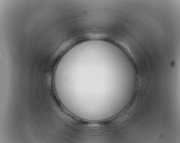 X0000091070357200708061028