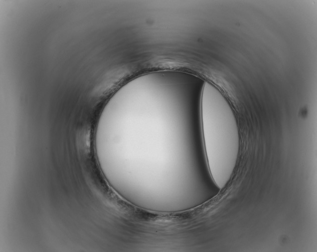 X0000091070358200708061028