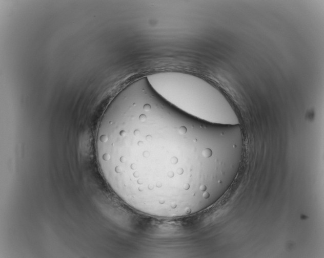 X0000091070359200708061028