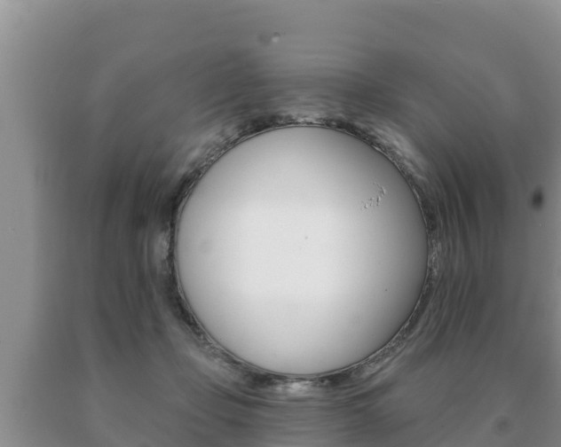 X0000091070365200708061028