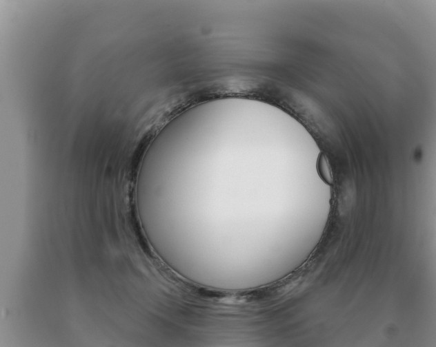 X0000091070366200708061028