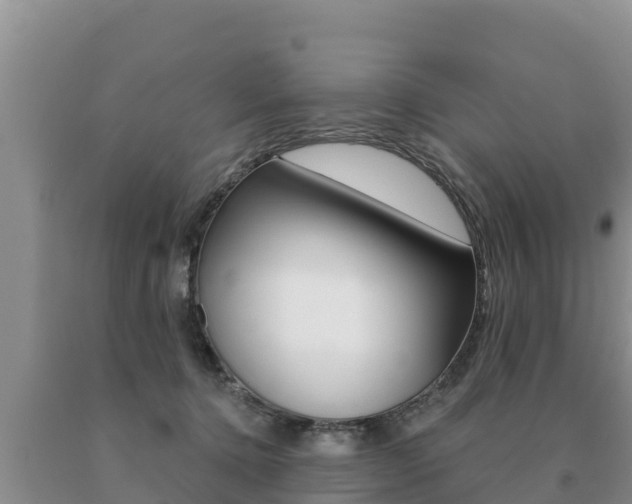 X0000091070368200708061028