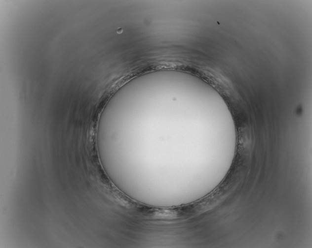 X0000091070369200708061028