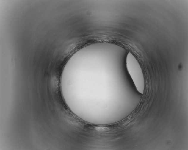 X0000091070371200708061028