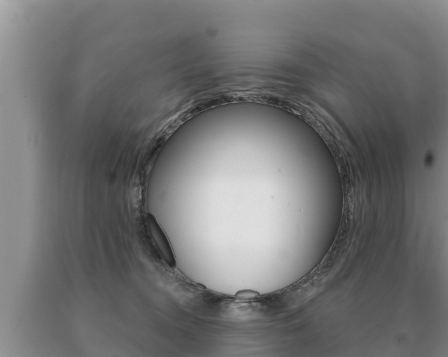 X0000091070372200708061028