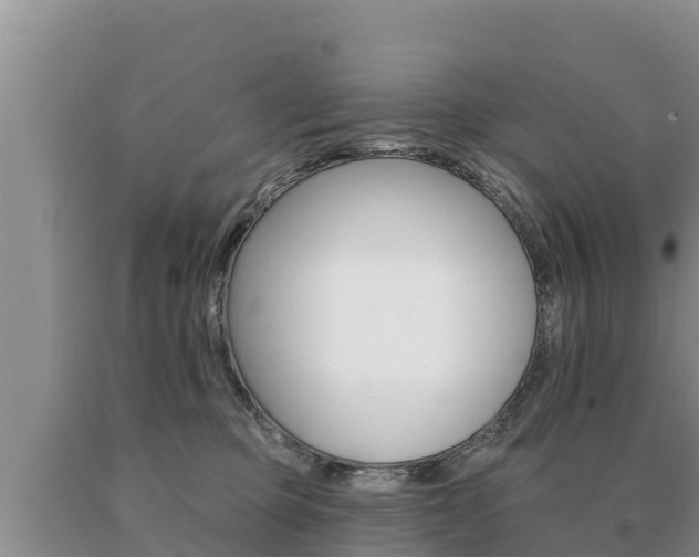 X0000091070373200708061028