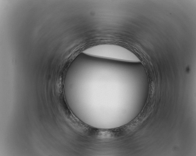 X0000091070376200708061028