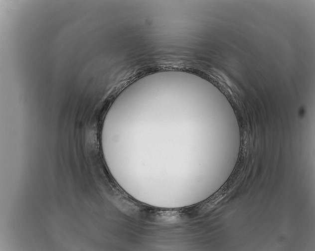 X0000091070377200708061028