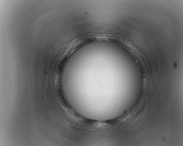 X0000091070379200708061028