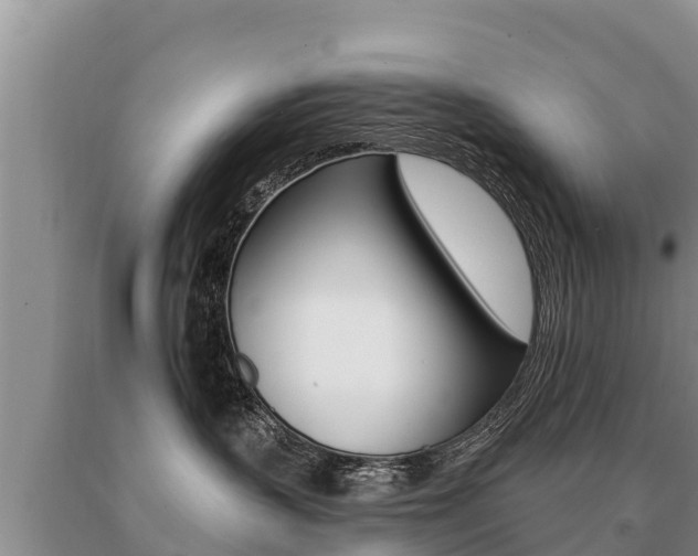 X0000091070383200708061028