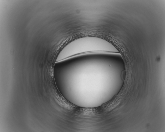 X0000091070384200708061028