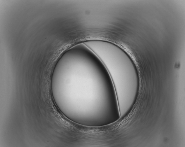 X0000091070385200708061028