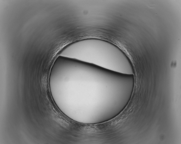 X0000091070386200708061028