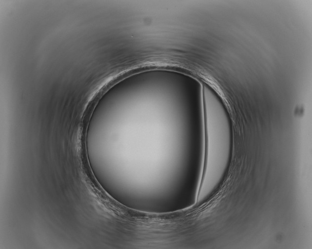 X0000091070387200708061028