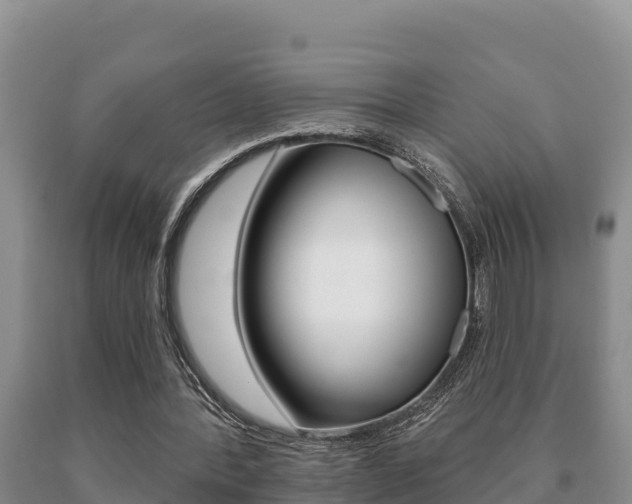 X0000091070388200708061028