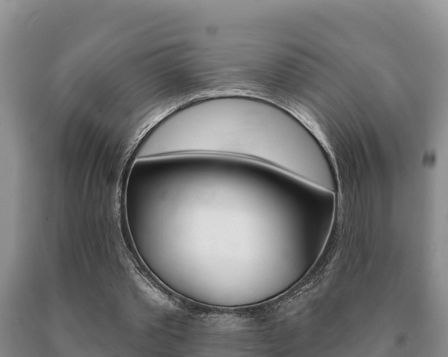 X0000091070389200708061028