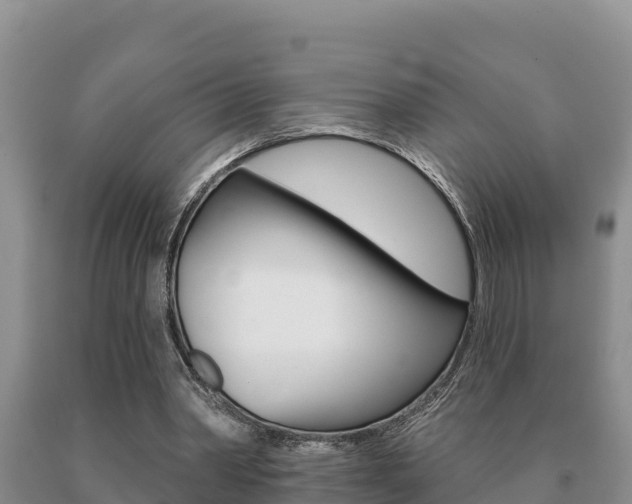 X0000091070390200708061028