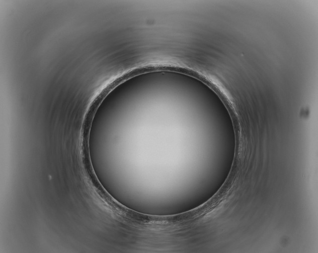 X0000091070391200708061028