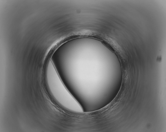 X0000091070392200708061028
