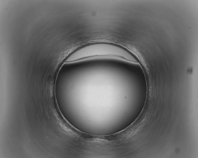 X0000091070393200708061028