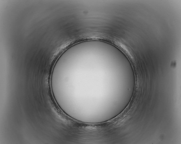X0000091070394200708061028