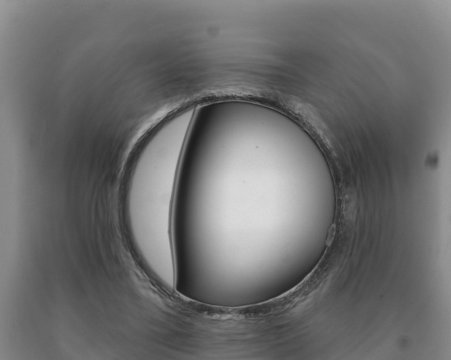 X0000091070395200708061027