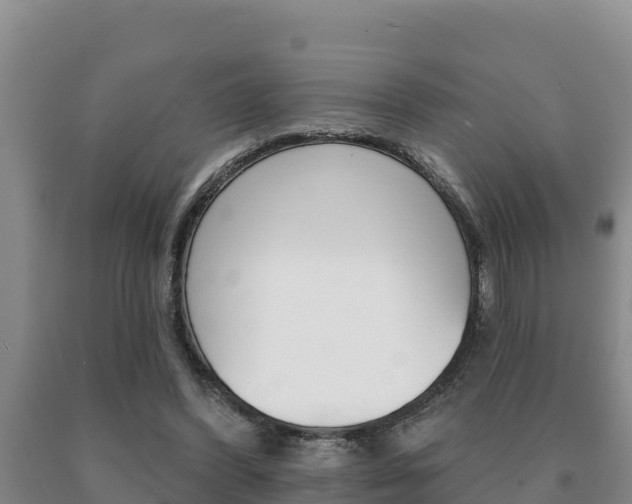 X0000091070396200708061027